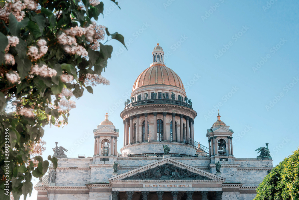 St. Isaac's Cathedral in St. Petersburg, lilac Bush