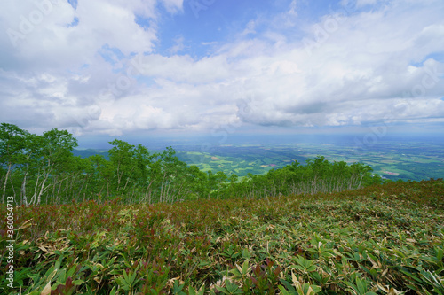 東ヌプカウシヌプリ登山道