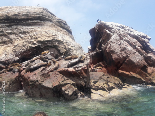Ballestas Islands Paracas Peru 2019