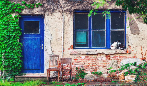 Two cats sitting infront of old poor house in lonely village