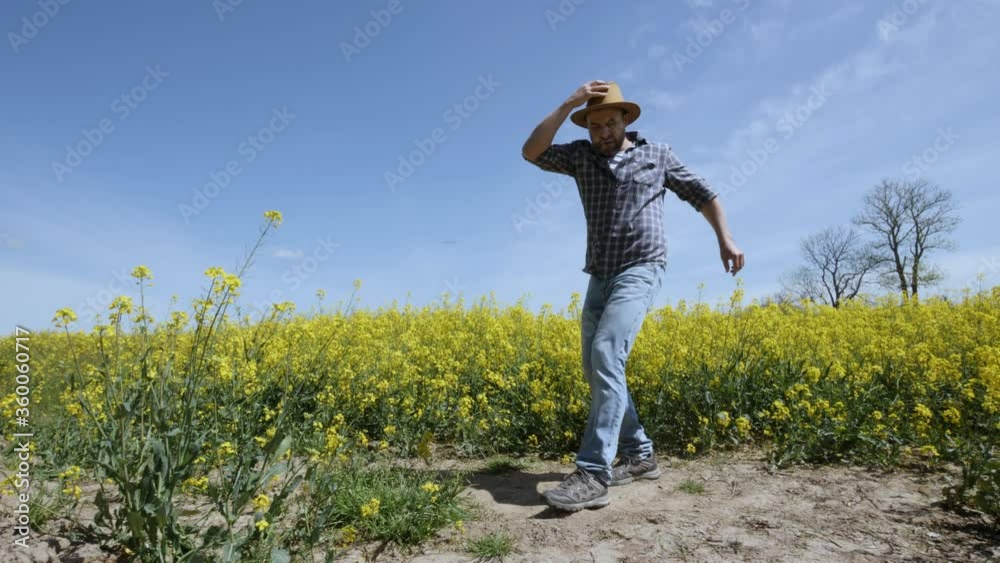 Happy Man Farmer Dancing Enjoying at Rape Blossom On Field. Fun Celebrating Funny Viral Dance Freedom. Guy Enjoying Dance. Joyful Man Farmer Dancing. Slow Motion. Flowering Rapeseed Field Blue Sky. Happy Man Farmer Dancing Enjoying at Rape Blossom On Field. Fun Celebrating Funny Viral Dance Freedom. Guy Enjoying Dance. Joyful Man Farmer Dancing. Slow Motion. Flowering Rapeseed Field Blue Sky.