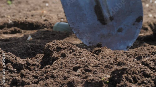 Wallpaper Mural A farmer digs the ground with a shovel in his garden. Close up. The concept of organic farming and ecological vegetable growing Torontodigital.ca