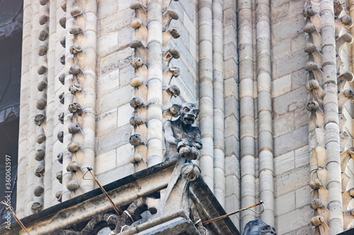 Gargoyles of Notre Dame Cathedral, Paris, France