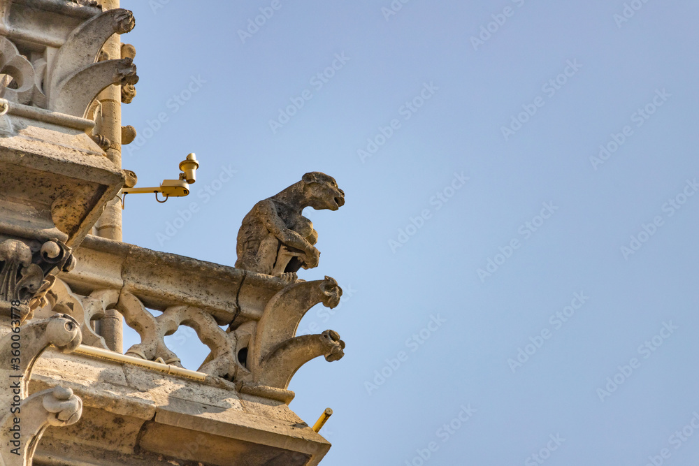 Gargoyles of Notre Dame Cathedral, Paris, France