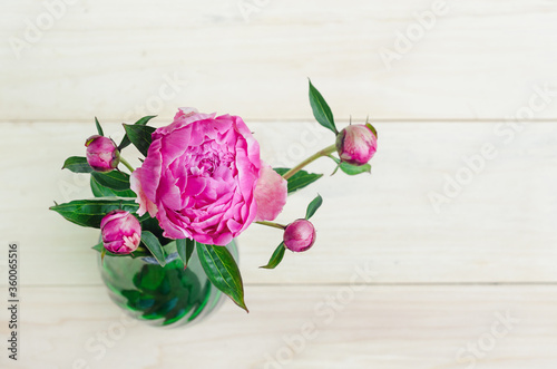 top view of blossoming beautiful fresh pink peony and buds in vase on light wooden background, copy space, place text, postcard © Елена Якимова