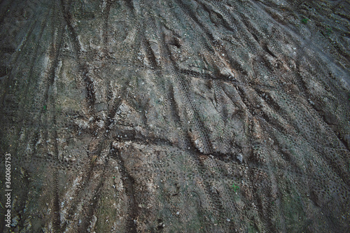 bike tracks in the mud