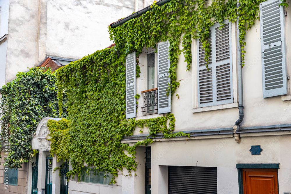 Building with green vines on the wall and shutters  in Paris, France