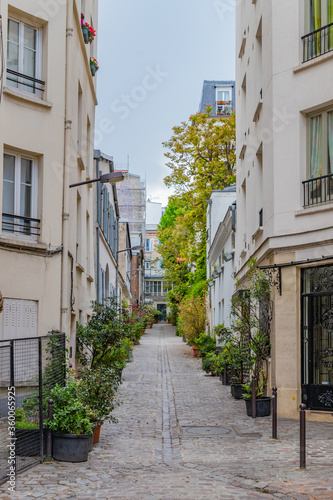 Cobblestone street with houses and potted plants in Paris, France