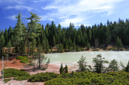 Obraz na plátně green hydrothermal lake surrounded by forest in Bumpass Hell in Lassen Volcanic