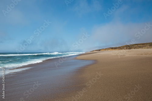 Fototapeta Naklejka Na Ścianę i Meble -  beach and sea at Point Reyes National Seashore, California