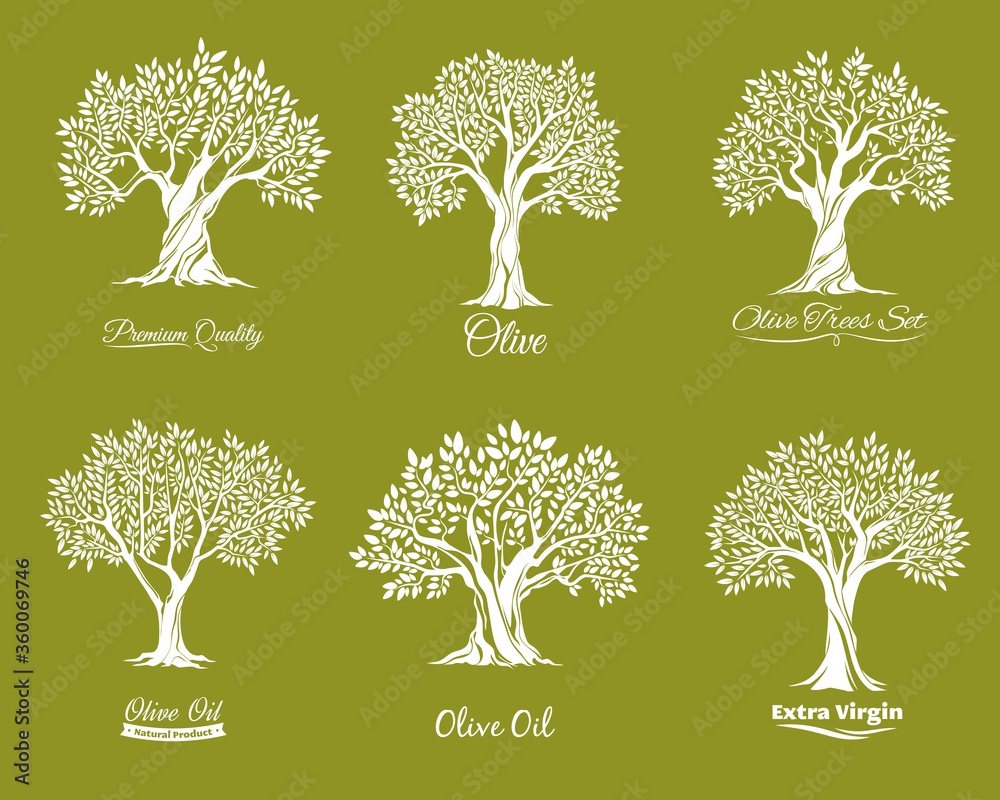 Olive trees farm icons vector set. Agriculure industry. Trees with various shape crown, leaves on brunches and crack in trunk bark. Extra virgin, olive oil label, farm garden tree icon with lettering