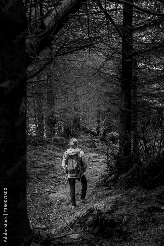 Girl (hiker) is forest path near Guinness Lake (Lough Tay) valley -  a movie and series location, such as Vikings. Close to Dublin City, popular tourist destination.