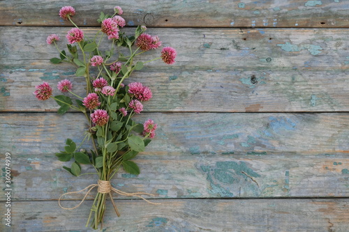 Pink clover flovers on wooden background.Bound by a Brown rope