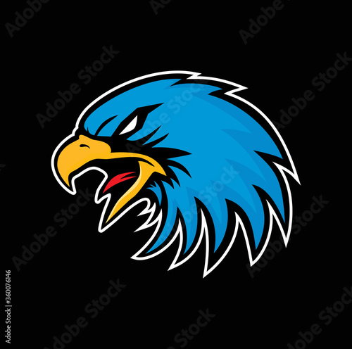 Hand drawn of Eagle head , Eagle mascot for t-shirt , Sport wear , athletic apparel stamp