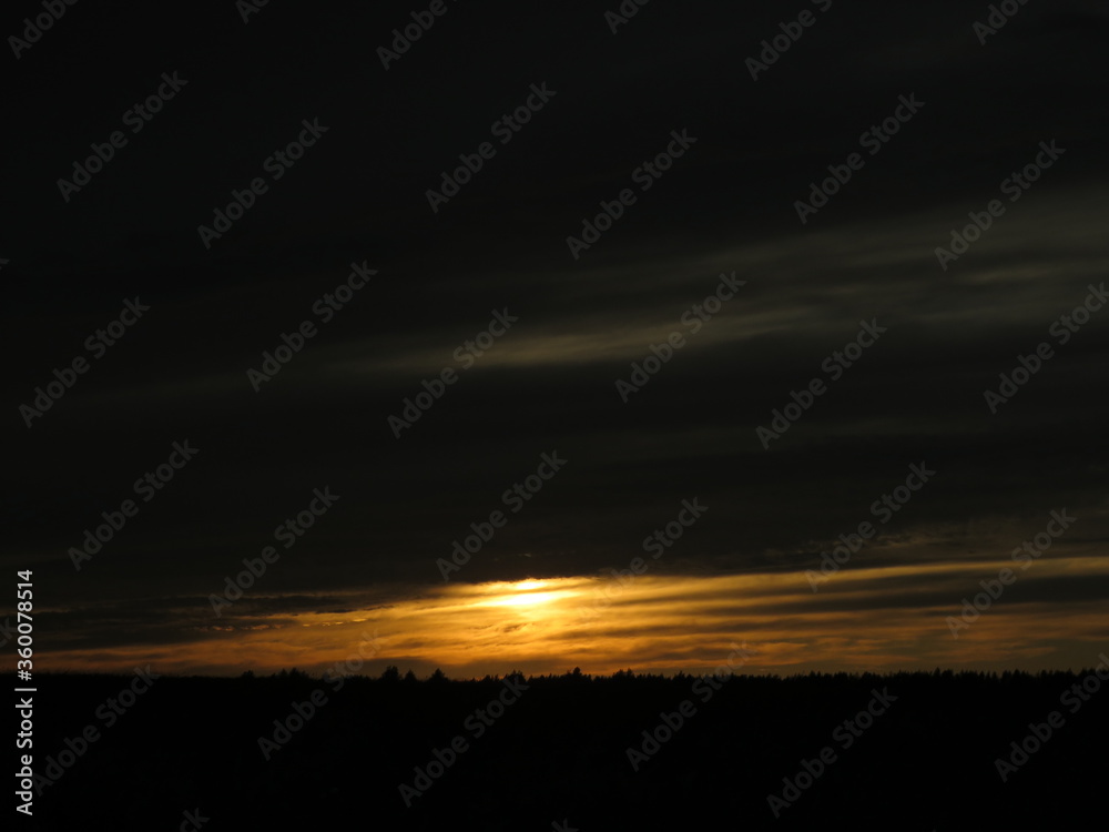 Late sunset on a summer evening in a field