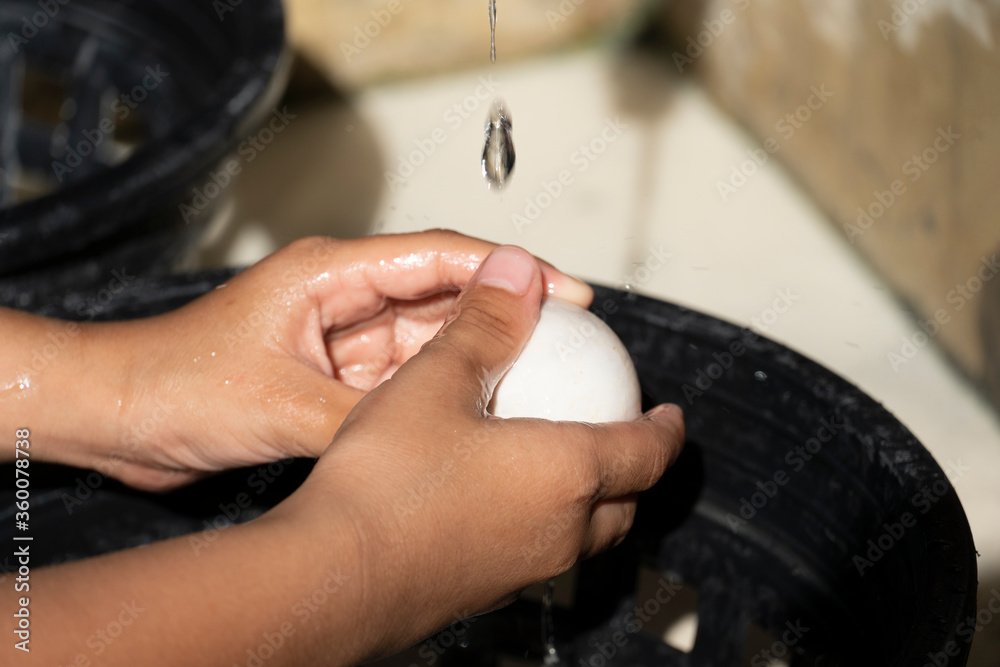 The hands of children who wash duck eggs with white rinds with water.