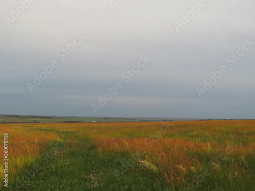 Evening road in the steppes to sunset on a summer evening