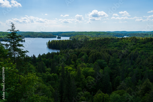 Aerial view of a Canadian Forest in summer photo