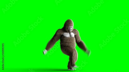 Funny brown gorilla dancing. Super realistic fur and hair. Green screen 4K animation.
