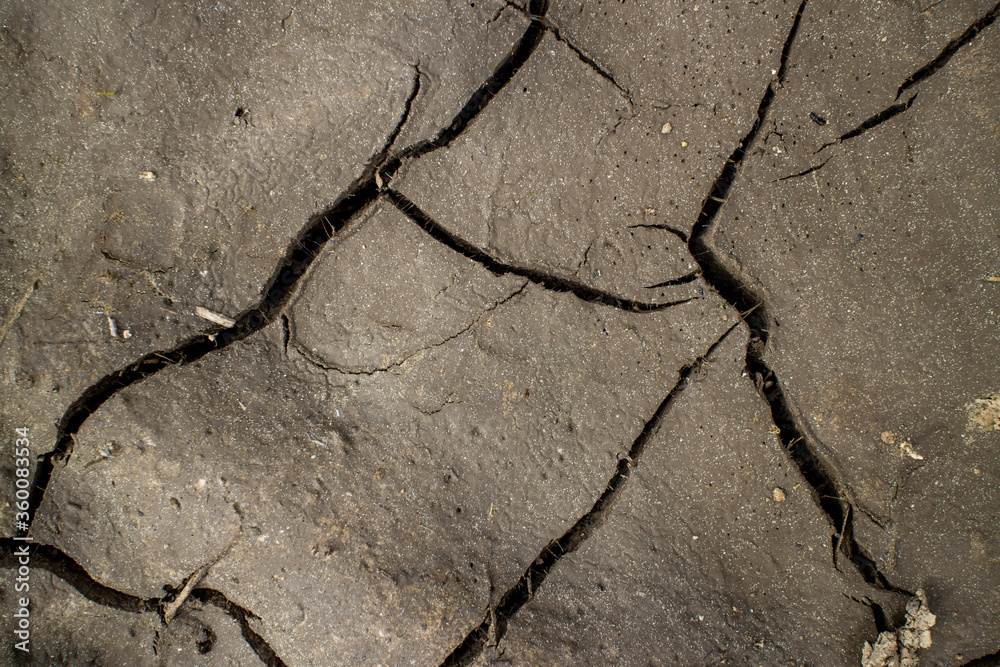 Obraz premium Large cracks in the ground. Abstract lines. Beautiful background. Nature. Photo in good quality.