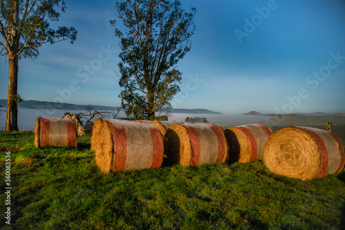Hay Bales on the Rural Hills of Berwick (south west of Dunedin) at sunrise on a freezing frosty day with low mist and fog rolling through the valleys