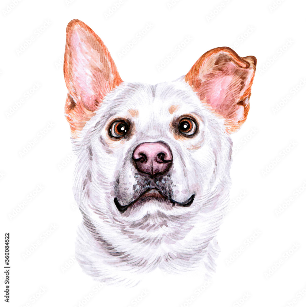 Watercolor illustration of a funny dog. Hand made character. Portrait cute dog isolated on white background. Watercolor hand-drawn illustration. Popular breed dog. White fluffy dog