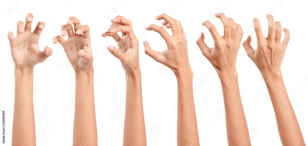 Collage of woman holding on white backgrounds Collage of woman holding on white backgrounds