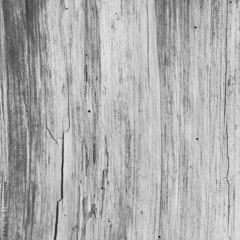 Old worn wood texture pattern background grey, monochrome, black and white, black, white Old worn wood texture pattern background grey, monochrome, black and white, black, white