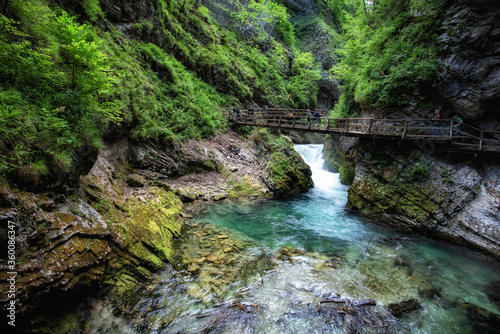 スロベニア・ヴィントガル渓谷の美しい自然