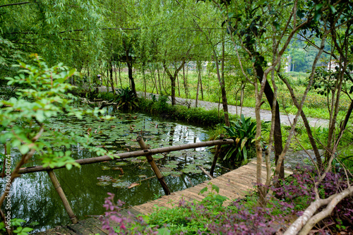 Pond with lily pads and rustic rail bridge and greenery in China.