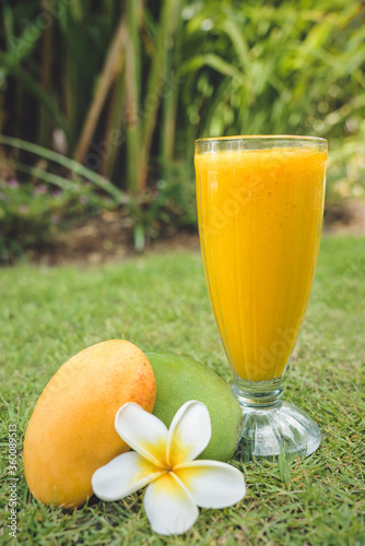 Glass of mango juice