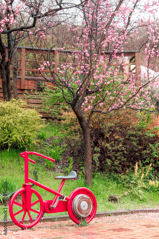 The beautiful red-colored and decorated bicycle was decorated with flowers standing in the park. The bicycle is dripping with rain.