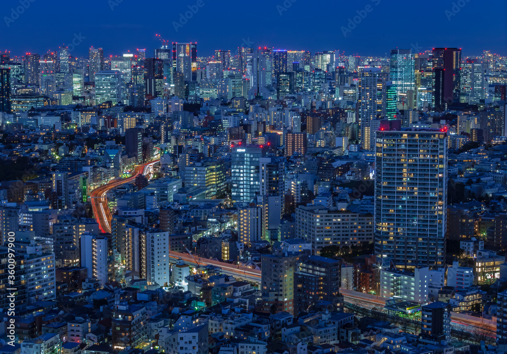 Fototapeta premium 東京都市夜景