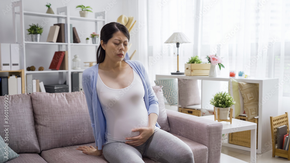 young pregnant woman suffering belly ache indoors at home in living room alone. frowning girl in maternity having stomach ache in couch. unhappy female future parenthood holding big tummy in sofa. young pregnant woman suffering belly ache indoors at home in living room alone. frowning girl in maternity having stomach ache in couch. unhappy female future parenthood holding big tummy in sofa.
