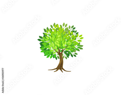 tree vector illustrations
