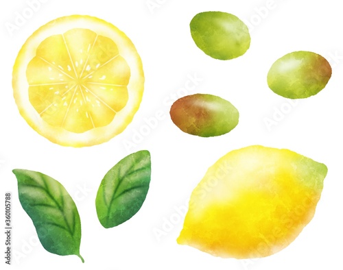 水彩タッチなレモンとオリーブのおしゃれなイラスト