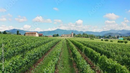 Wallpaper Mural Flying Low over Italian Vineyards Fields in Franciacorta, Brescia Province, Italy. Blue sky. Fluffy Clouds. View of Ancient Italian Castle. Torontodigital.ca