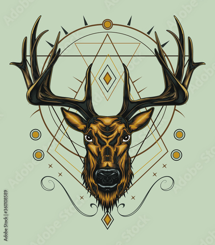 Vector Deer head illustration with ornament design in serious face. T shirt design, Logo, mascot, wall decoration.