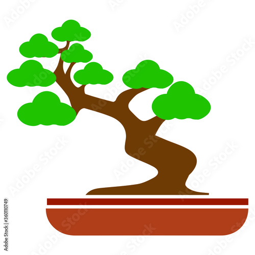 Bonsai Tree