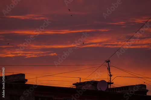 sunset over the city