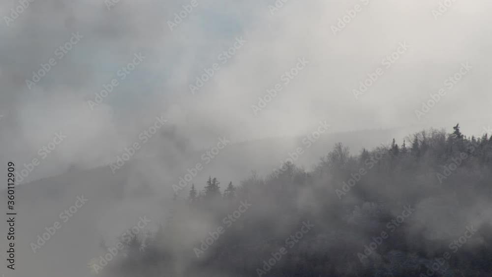 fog in the mountains overgrown with forests in the morning fog in the mountains overgrown with forests in the morning