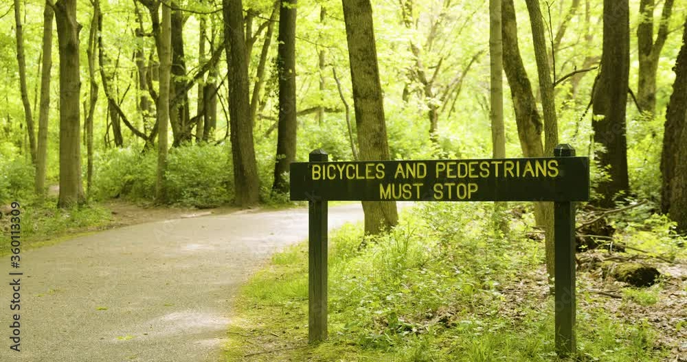 Sign in Forest that Reads Bicycles and Pedestrians Must Stop Wide Sign in Forest that Reads Bicycles and Pedestrians Must Stop Wide