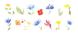 Watercolor illustration, set of flowers, summer, blue and yellow tulips