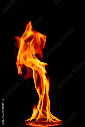 fire in the flames on black background © ohm2499