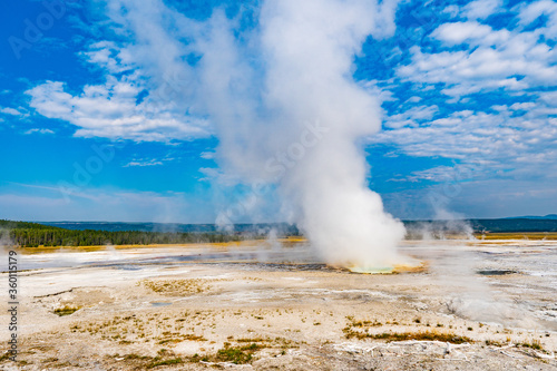 Morning Geyser in Yellowstone National Park