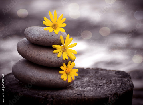balance