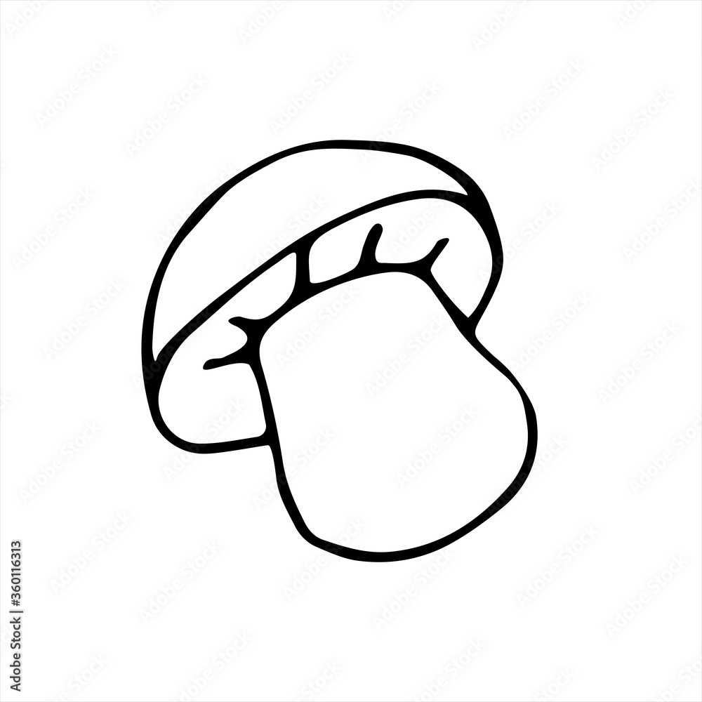 Hand drawn vector mushroom. Black simple outlines isolated on white. Doodle style. Illustration for coloring book design, seasonal autumn cards and the theme of thanksgiving Hand drawn vector mushroom. Black simple outlines isolated on white. Doodle style. Illustration for coloring book design, seasonal autumn cards and the theme of thanksgiving