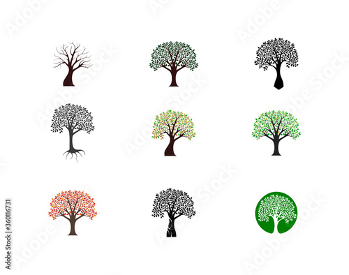 collection of various tree illustrations, vector isolated