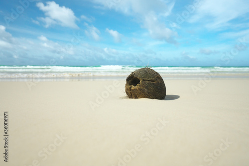 Okinawa,Japan-June 21, 2020: A coconut on beautiful shore of Toguchinohama beach in Irabujima island, Japan
