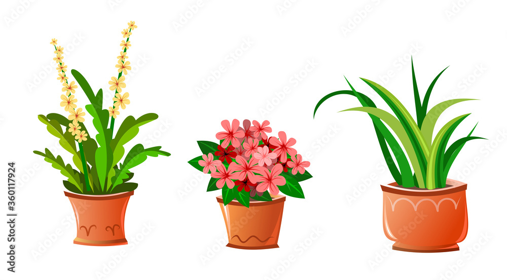 Indoor houseplant flowers in clay ceramic pots. Set. Isolated vector illustration. Cartoon style.